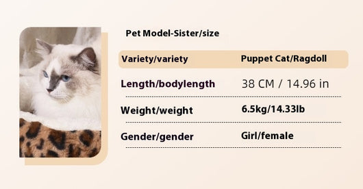 Casa para Mascotas Cuatro Estaciones - Aislada y Térmica - Image 8