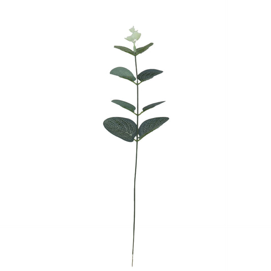 Arreglo Floral en Maceta - Planta Dinero Verde Elegante para Eventos