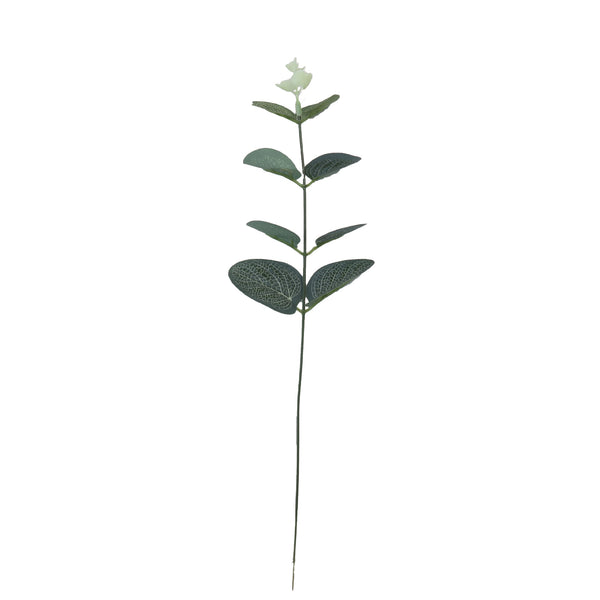 Arreglo Floral en Maceta - Planta Dinero Verde Elegante para Eventos