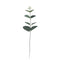 Arreglo Floral en Maceta - Planta Dinero Verde Elegante para Eventos