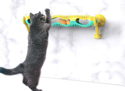 Grey tabby kitten playing with a yellow and teal wall-mounted cat toy featuring a track with rolling balls. - Image 14