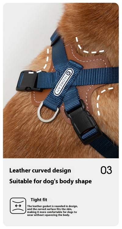Cuerda Interactiva para Perros Corgi y Shiba Inu - Juguete de Tracción Doble - Image 16