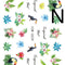 N
