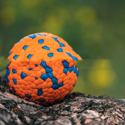 Orange and blue textured ETPU dog toy ball, resistant to bite and chew, for pet play. - Image 10