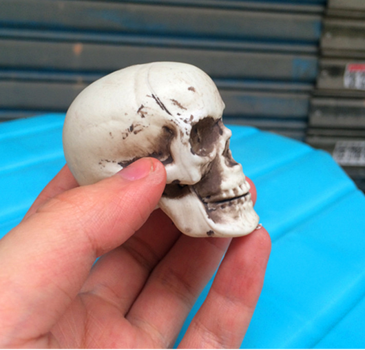 Calavera de Terror Miniatura 5cm - Decoración para Casas Embrujadas - Image 3