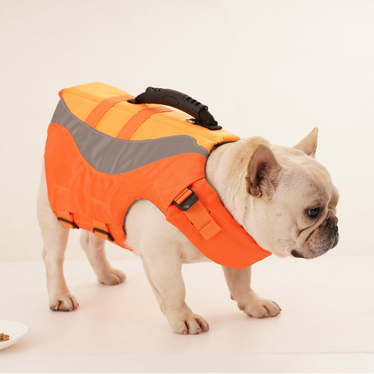 Chaleco Salvavidas Reflectante para Perros con Diseño de Traje de Baño - Image 10