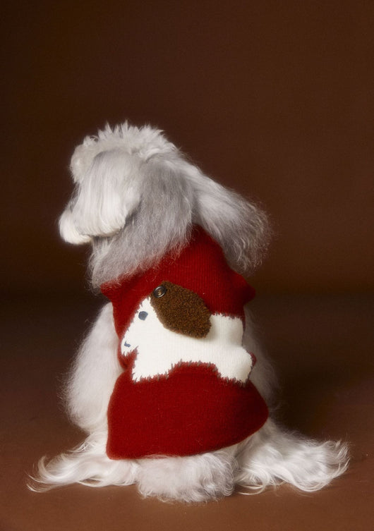 Chaleco Térmico sin Mangas para Perros Schnauzer, Bichón y Razas Pequeñas - Image 15