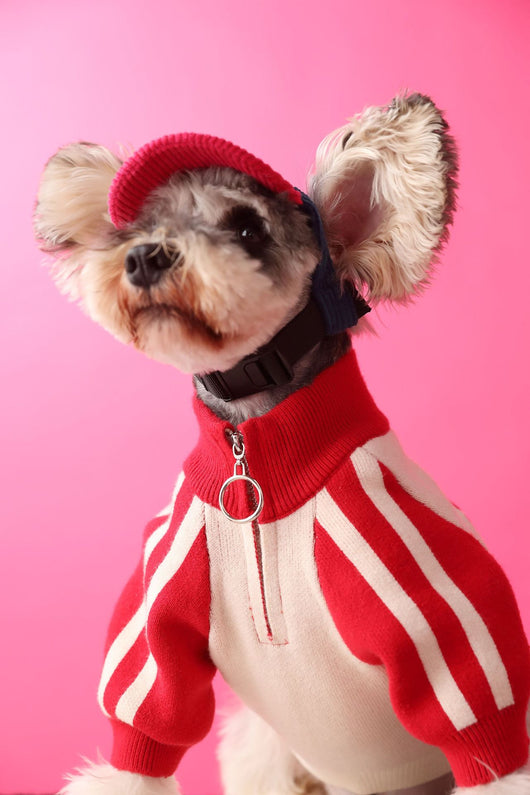 Suéter Deportivo para Perros - Cardigan Cómodo para Mascotas - Image 18