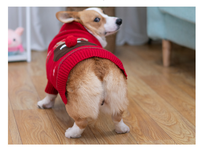 Abrigo Acolchado Térmico para Shiba Inu - Protección Invernal - Image 19