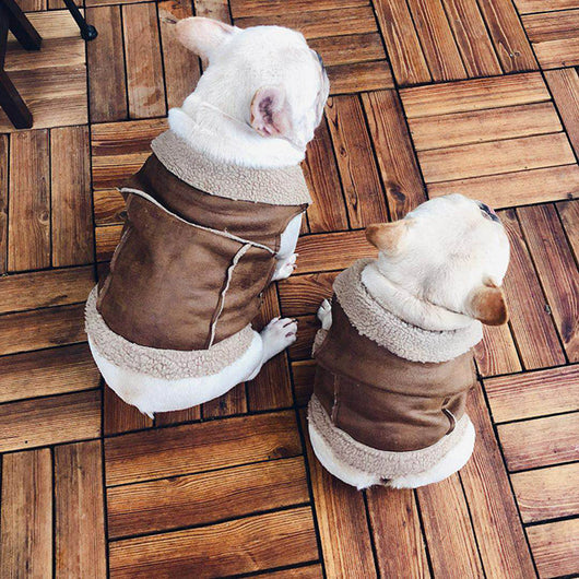 Chaleco de Algodón para Otoño e Invierno - Estilo Francés - Image 8