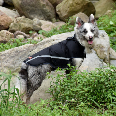 Impermeable para Perros con Protección Repelente al Agua - Image 4