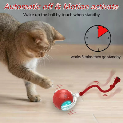 Red interactive cat toy ball with clear shell and glowing blue light, attached to a red rope, next to a playful tabby kitten.