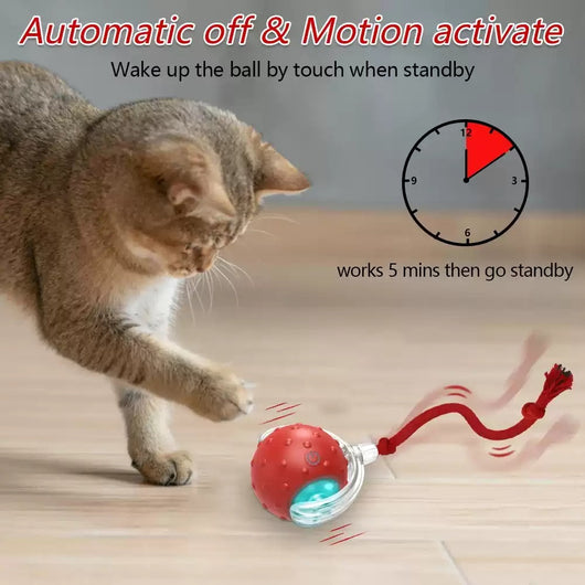 Red interactive cat toy ball with clear shell and glowing blue light, attached to a red rope, next to a playful tabby kitten.