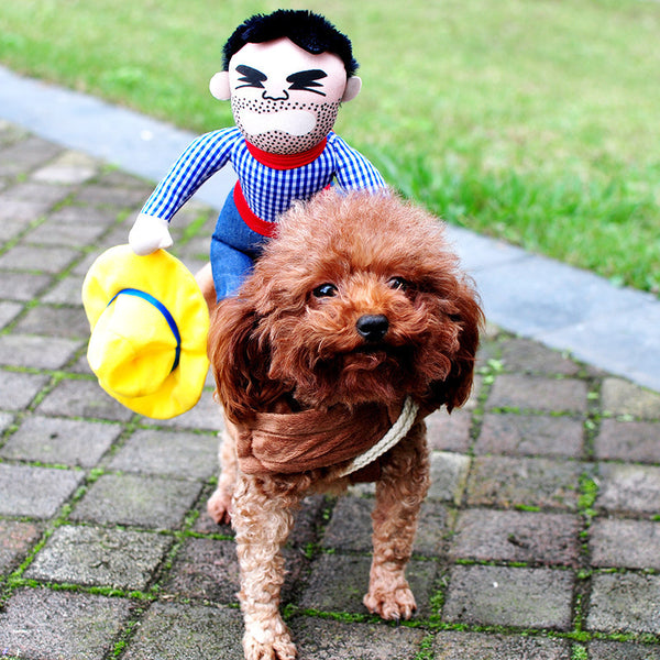 Disfraz de Halloween para Perros - Traje Ajustable Terrorífico con Accesorios
