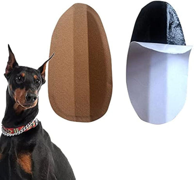 Corrector de Orejas para Perros - Soporte Adhesivo para Orejas Erguidas - Image 17