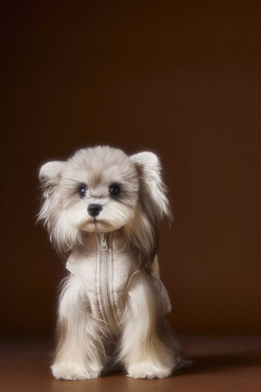 Chaleco Acolchado sin Mangas con Capucha - Diseño Adorable de Schnauzer y Bichón - Image 15