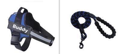 Arnés de Paseo Simple para Mascotas con Correa Ajustable - Image 11