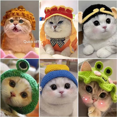 Gorro de Lana Tejido para Perros y Gatos - Accesorios Adorables para Mascotas - Image 19
