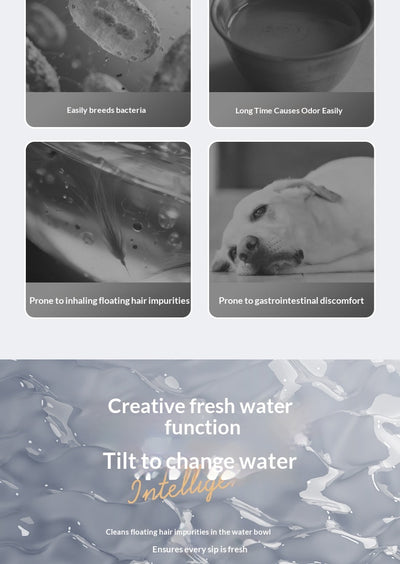 Fuente de Agua para Mascotas con Control Termostático y Flujo Automático Inclinado - Image 23