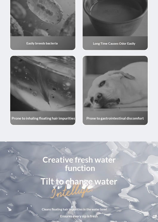 Fuente de Agua para Mascotas con Control Termostático y Flujo Automático Inclinado - Image 23