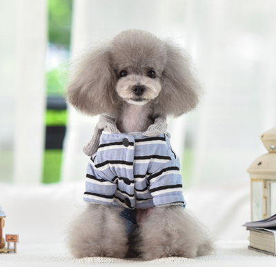 Ropa para Mascotas Bebé - Image 3