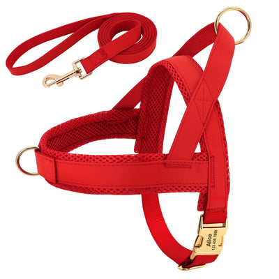 Arnés y Correa Personalizados para Perro - Image 4