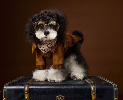 Abrigo de Cuero Retro Estampado Schnauzer Bichon - Manga Larga Unisex - Image 14