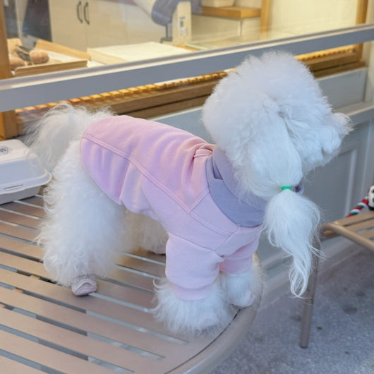 Playera de Bloques de Color para Mascotas - Ropa Cómoda para Perros - Image 9