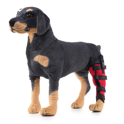 Soporte ortopédico para rehabilitación de patas en mascotas - Image 18
