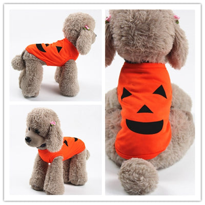 Disfraz de Calabaza para Mascotas - Halloween - Image 2