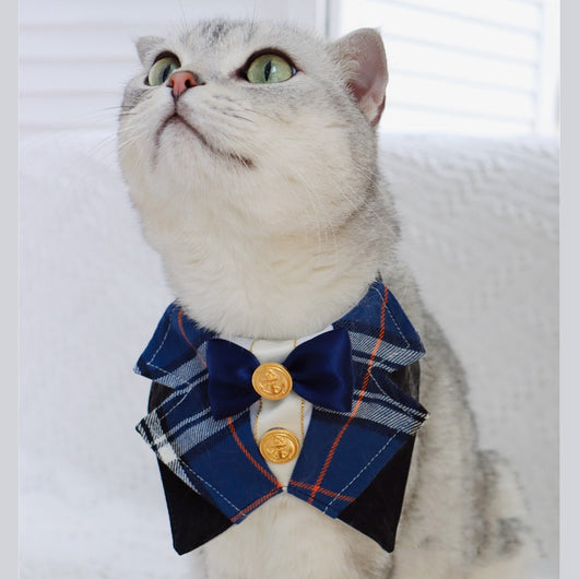 Corbata Académica Elegante para Mascotas - Gato y Perro - Image 3
