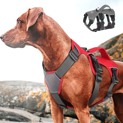 Arnés de Tracción para Perros con Correa Pectoral Ajustable