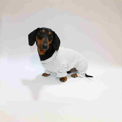 Ropa a Rayas para Perros y Gatos - Diseño Elegante y Cómodo - Image 11
