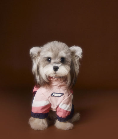 Ropa Deportiva para Perros Bichon Schnauzer con Arnés de Seguridad VIP - Image 13