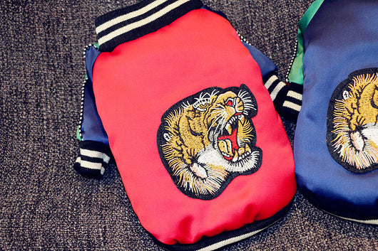 Disfraz de Tigre para Mascotas - Cabeza y Patas