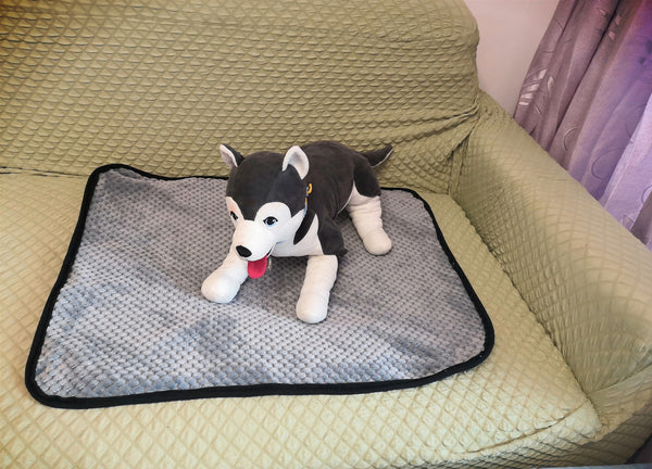 Pañales Absorbentes para Perros - Protección Confiable - Image 7