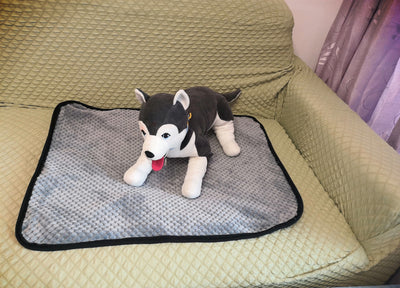 Pañales Absorbentes para Perros - Protección Confiable - Image 7