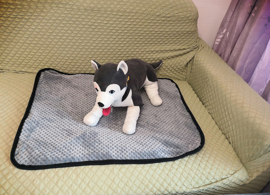 Pañales Absorbentes para Perros - Protección Confiable - Image 7