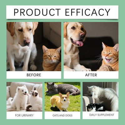 Gotas de Salud Urinaria para Gatos y Perros - Image 8