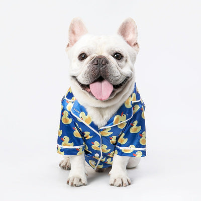 Ropa y Accesorios para Gatos y Perros