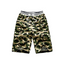 Camuflagem 3