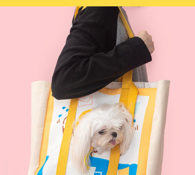Bolsa de Viaje para Mascotas Transpirable Portátil - Image 18
