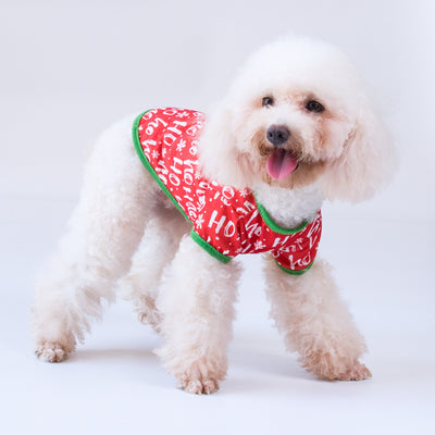 Playera Halloween para Perros - Diseño Festivo y Cómodo - Image 9