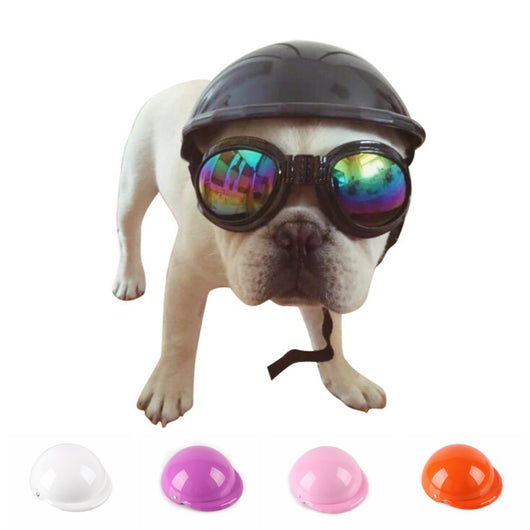 Casco Protector para Mascotas