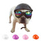 Casco Protector para Mascotas