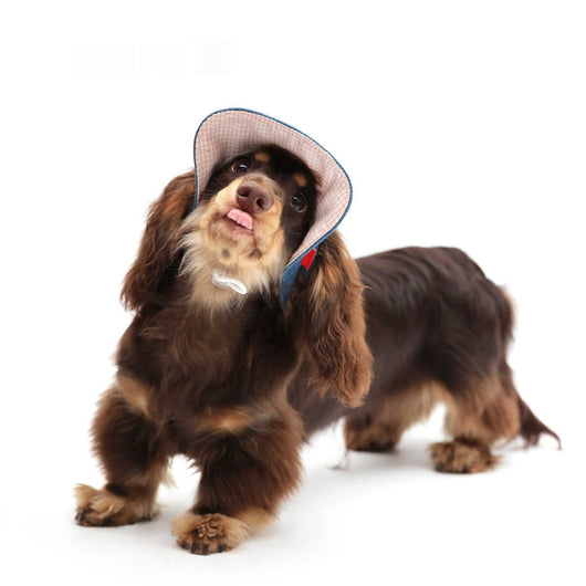 Sombrero Vaquero con Protección Solar para Mascotas - Image 3