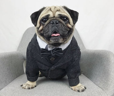 Traje de Boda para Mascotas - Image 2