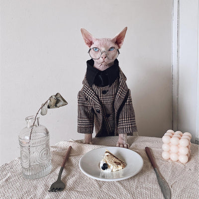 Traje Elegante para Gatos Sphynx y Razas sin Pelo - Image 3
