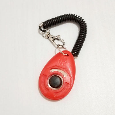 Turquoise dog training clicker with a black button and paw print, attached to a black coiled lanyard with a silver lobster clasp. - Image 9