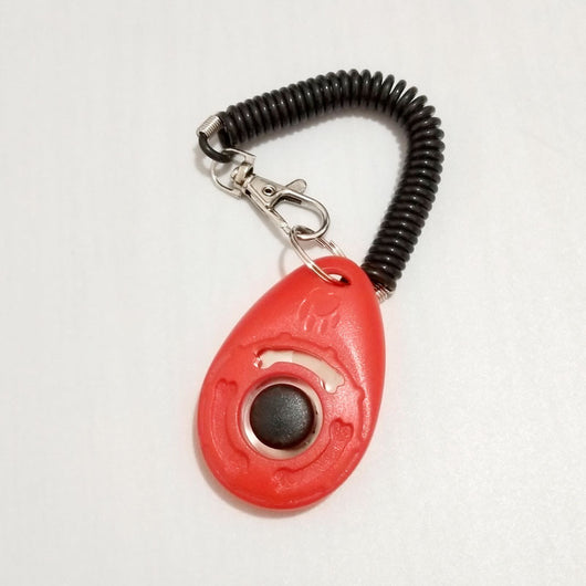 Turquoise dog training clicker with a black button and paw print, attached to a black coiled lanyard with a silver lobster clasp. - Image 9